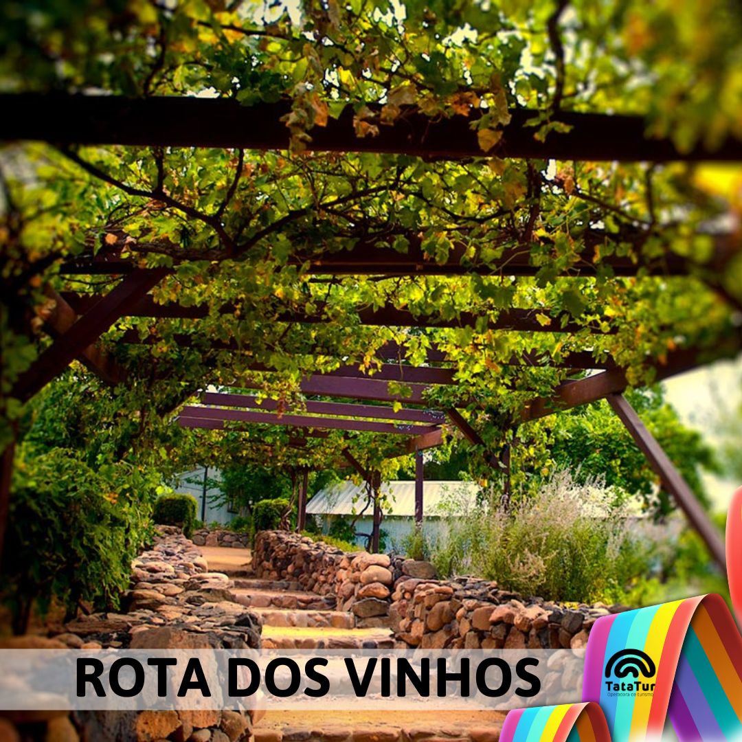 SÃO ROQUE - ROTA DOS VINHOS  - 12/01/2025