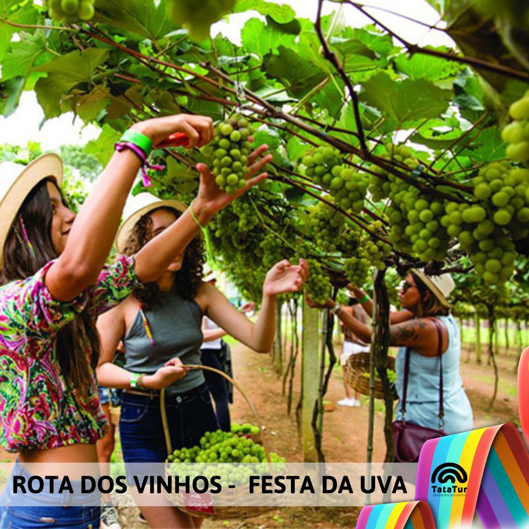 ROTA DOS VINHOS + FESTA DA UVA - 01/02/2025