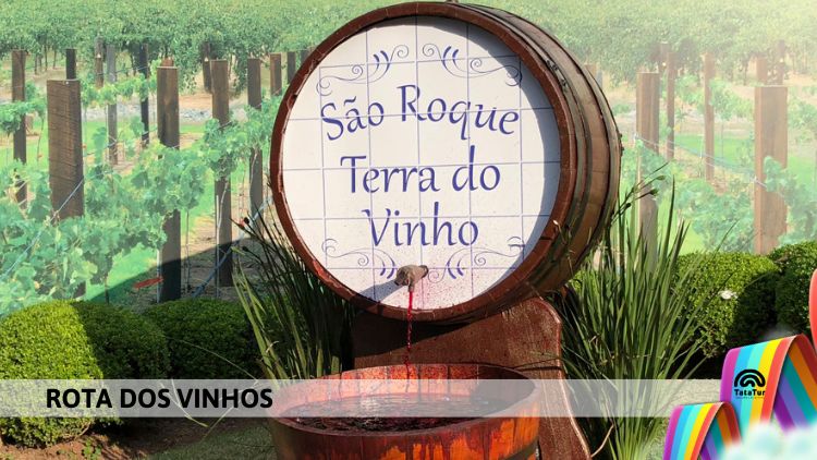 SÃO ROQUE - ROTA DOS VINHOS/ COMPRAS DE NATAL - 22/12/2024