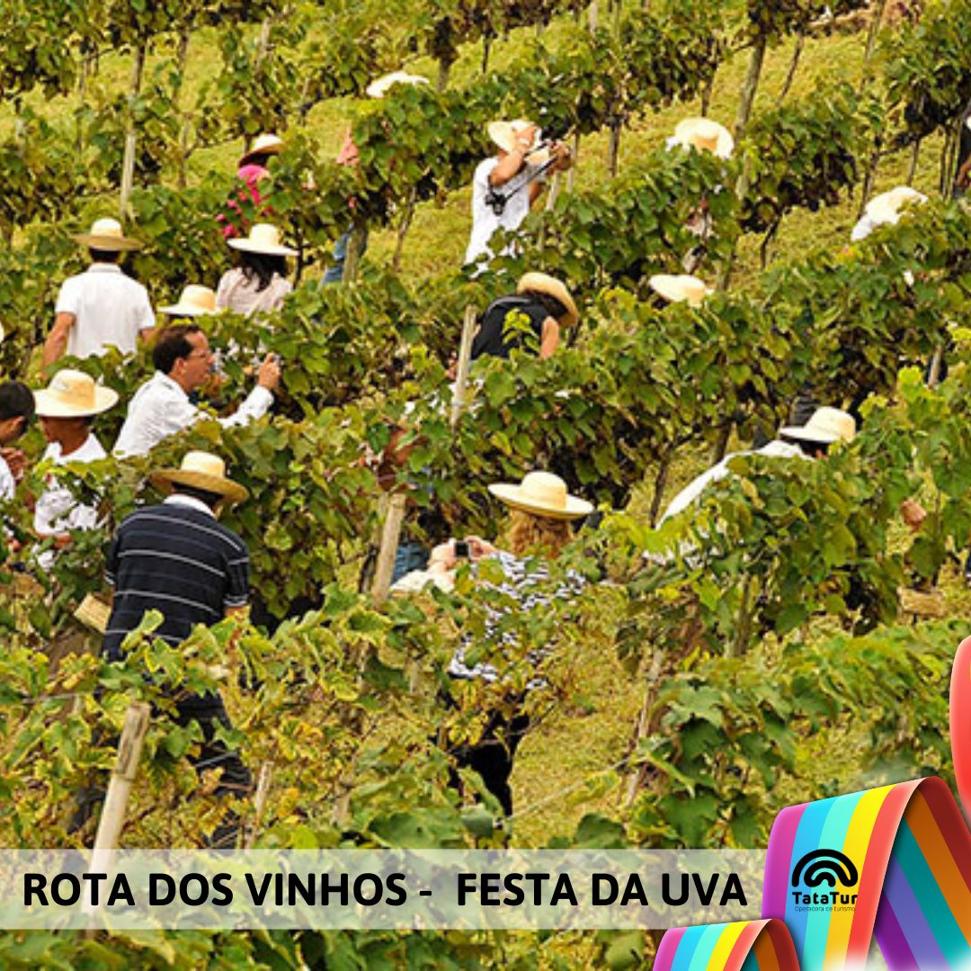 ROTA DOS VINHOS + FESTA DA UVA - 01/02/2025