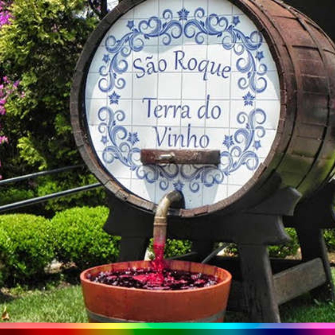 SÃO ROQUE - ROTA DOS VINHOS  - 29/09/2024
