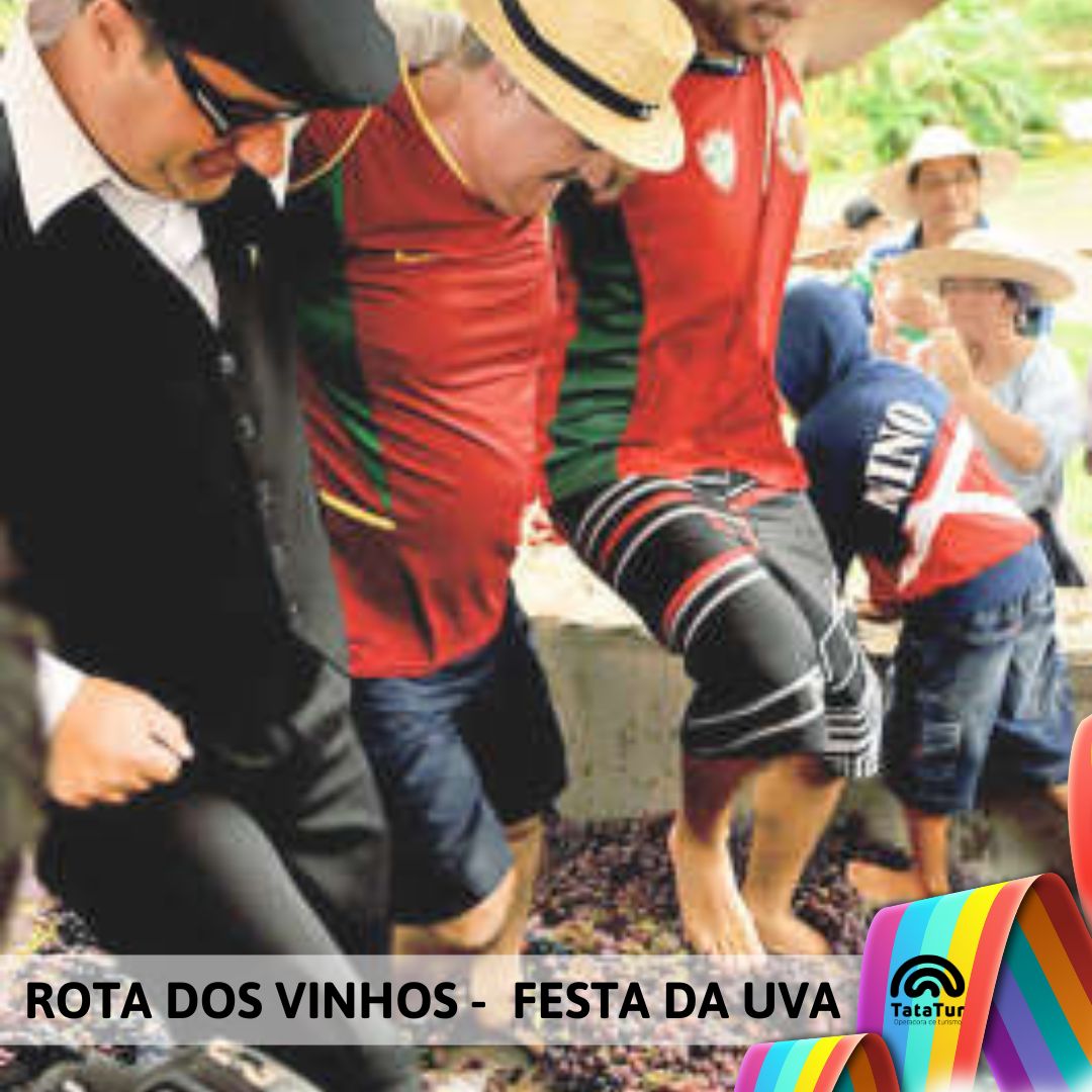 ROTA DOS VINHOS + FESTA DA UVA - 01/02/2025