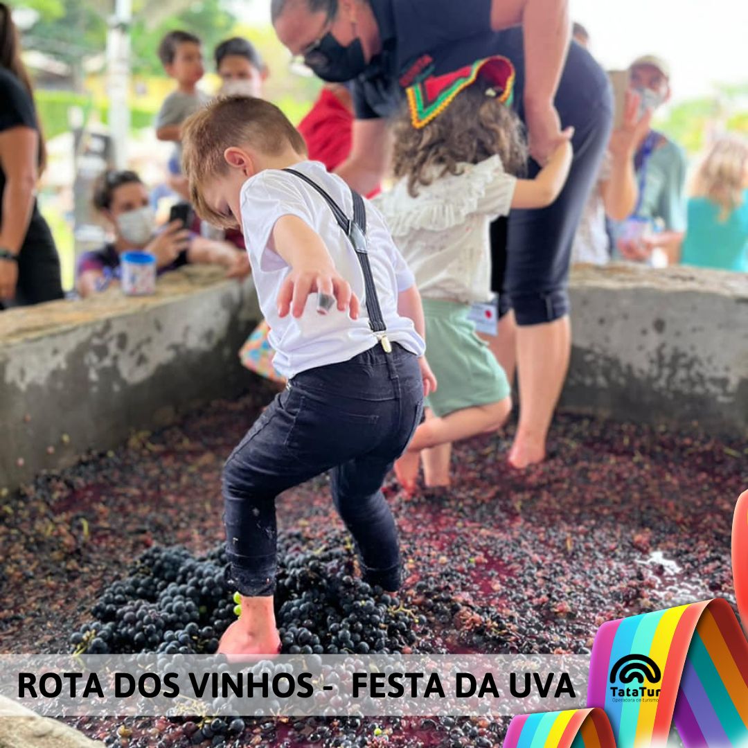 ROTA DOS VINHOS + FESTA DA UVA - 01/02/2025