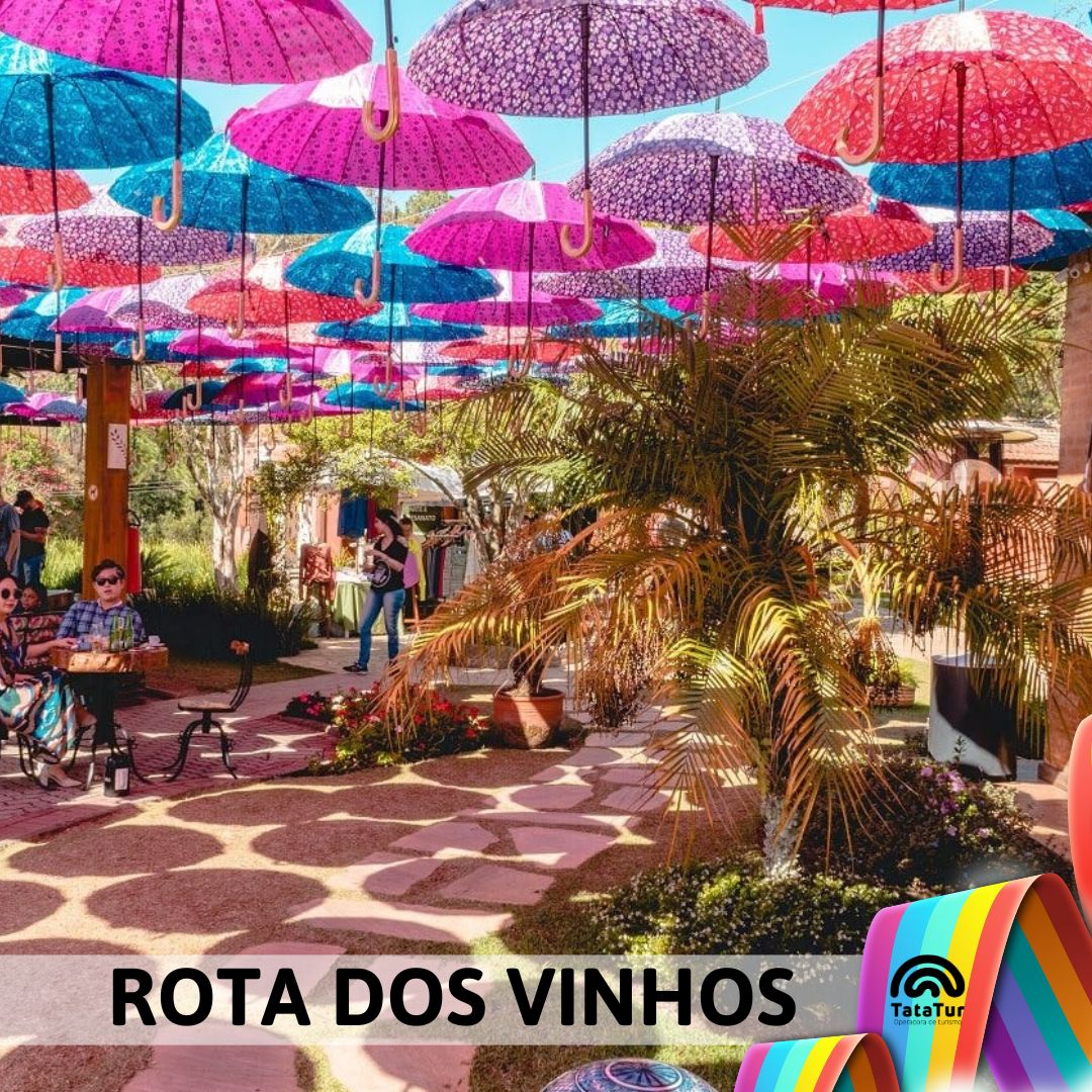 SÃO ROQUE - ROTA DOS VINHOS  - 12/01/2025