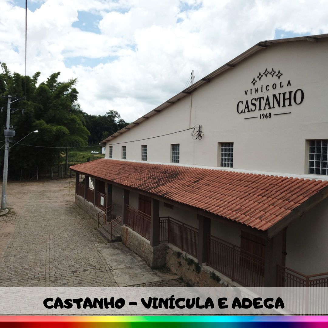 FAZENDA DO CAFÉ C/ ALMOÇO + VINÍCOLAS - 05/10/2024
