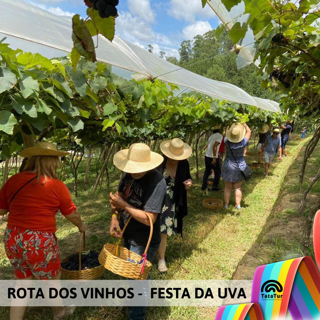 ROTA DOS VINHOS + FESTA DA UVA - 01/02/2025