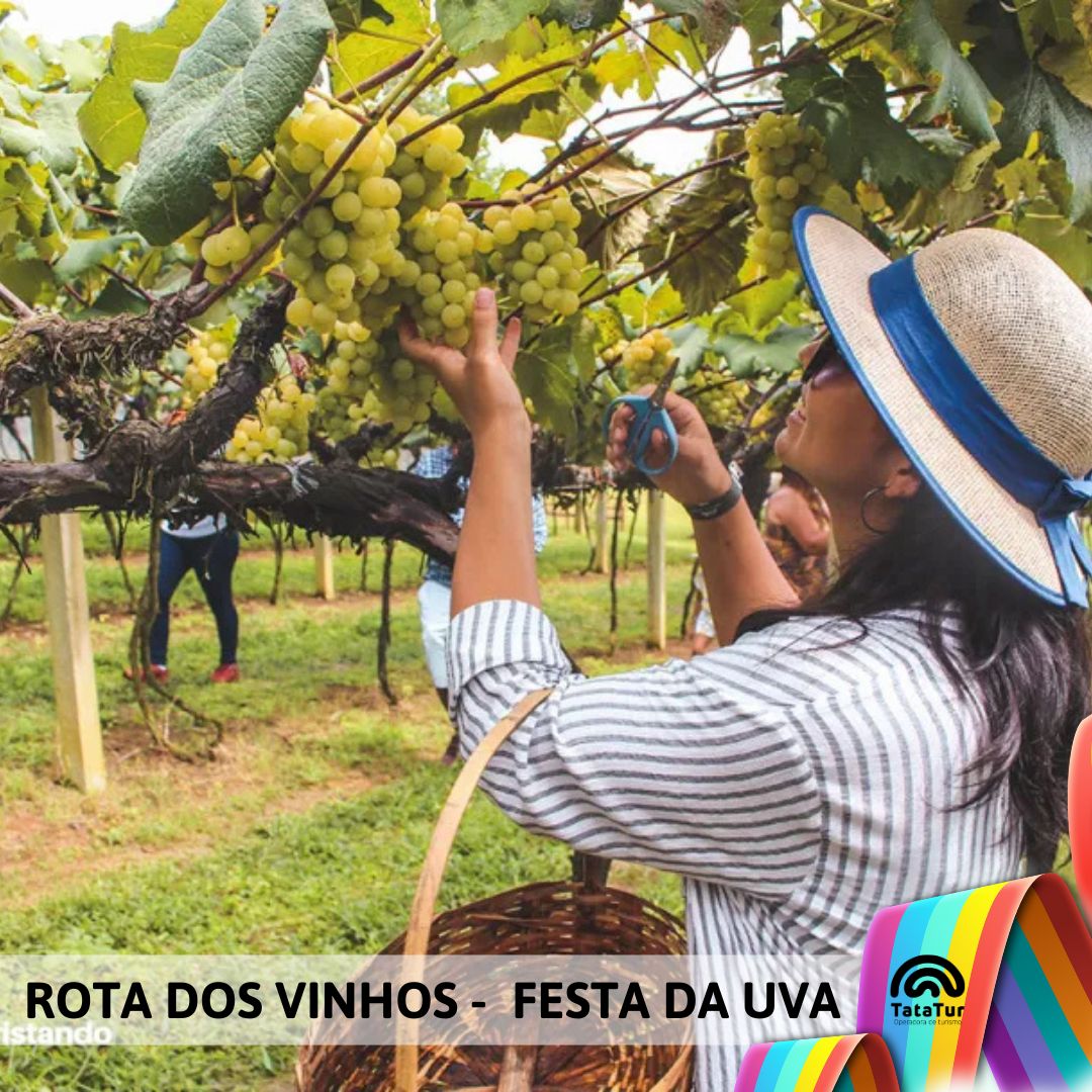 ROTA DOS VINHOS + FESTA DA UVA - 01/02/2025